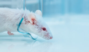Anti-Aging Cocktail Extends Mouse Lifespan by About 30 Percent : ScienceAlert