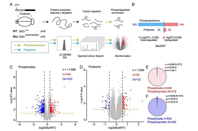 Natural short sleepers have a genetic mutations finds a new study