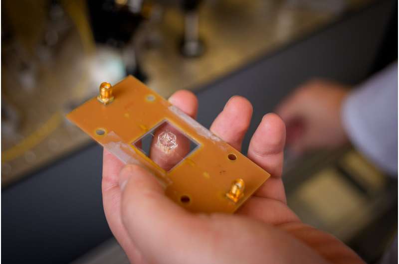 New biosensor solves old quantum riddle