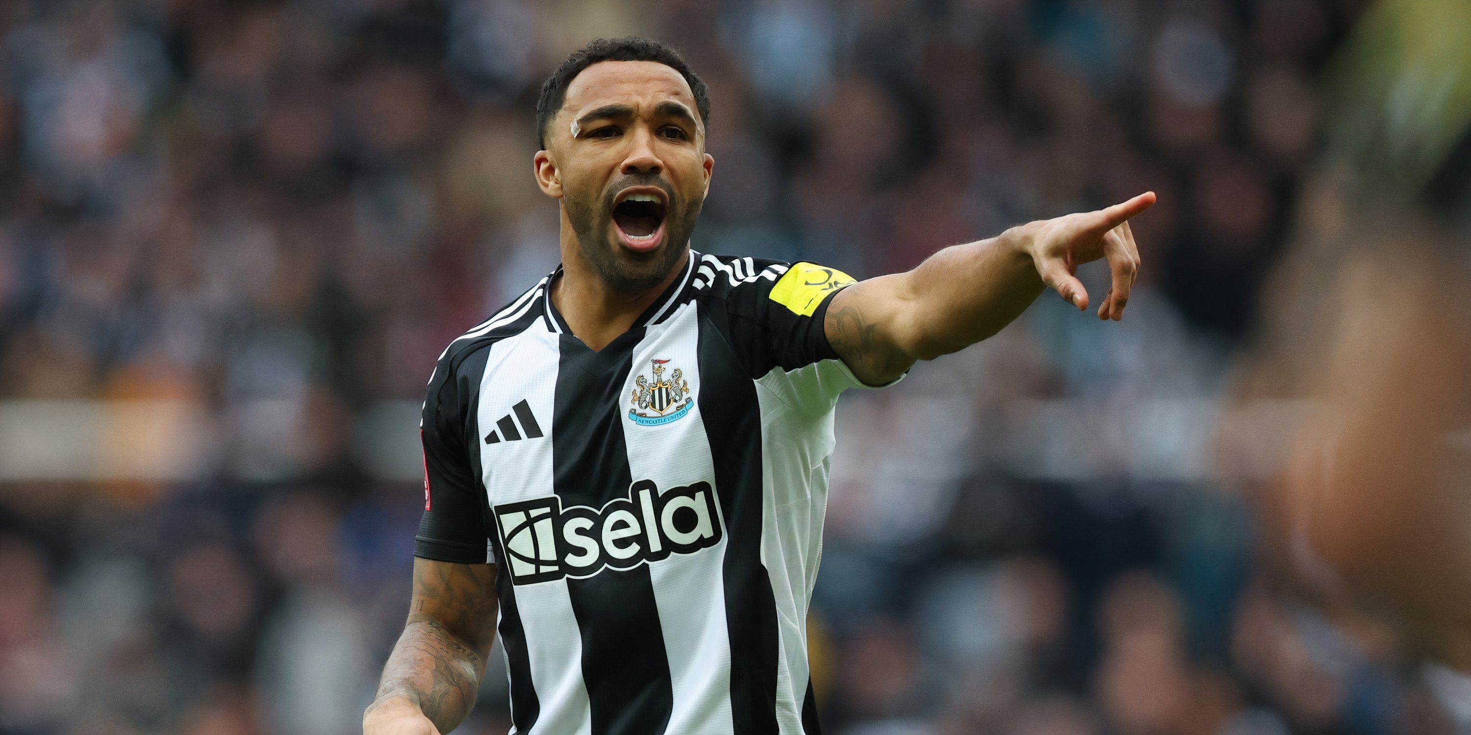 Newcastle striker Callum Wilson