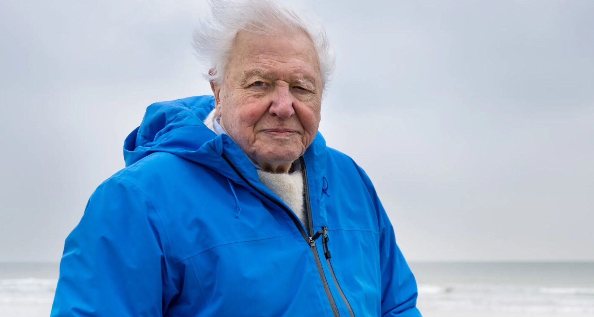 Inside David Attenborough's incredible career as he turns 99 - from deadly jungle brush to animals he fears will die out