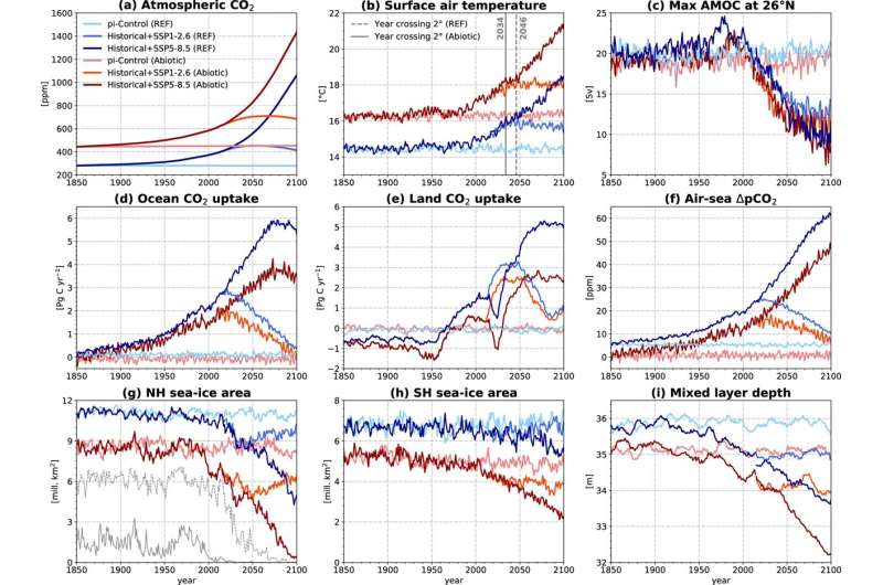 No fish, whales, or plankton: An ocean without life will absorb less carbon emissions and accelerate climate change
