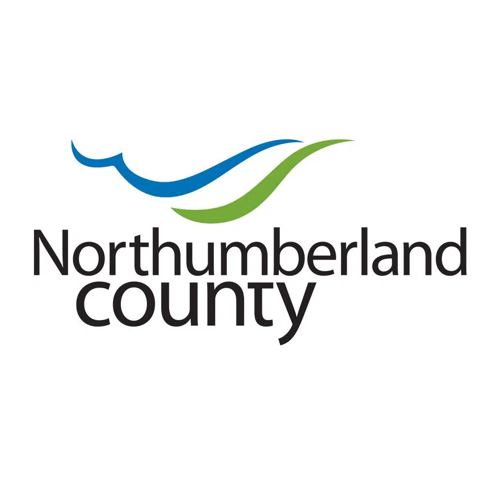 Young entrepreneurs wanted in Northumberland