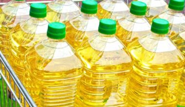 Are seed oils really bad for you?