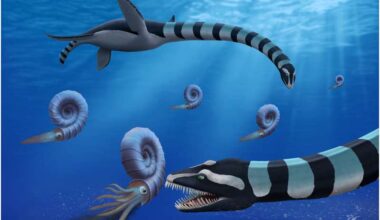 Mystery behind terrifying 85million-year-old sea monster with giant teeth that 'crushed' prey solved after decades