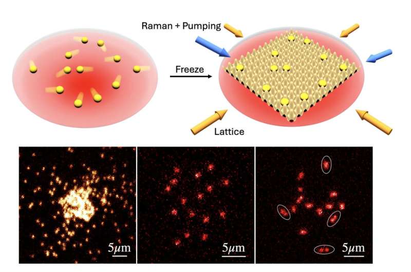 Physicists snap the first images of 'free-range' atoms