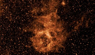 SPHEREx starts science observations while PUNCH commissioning continues