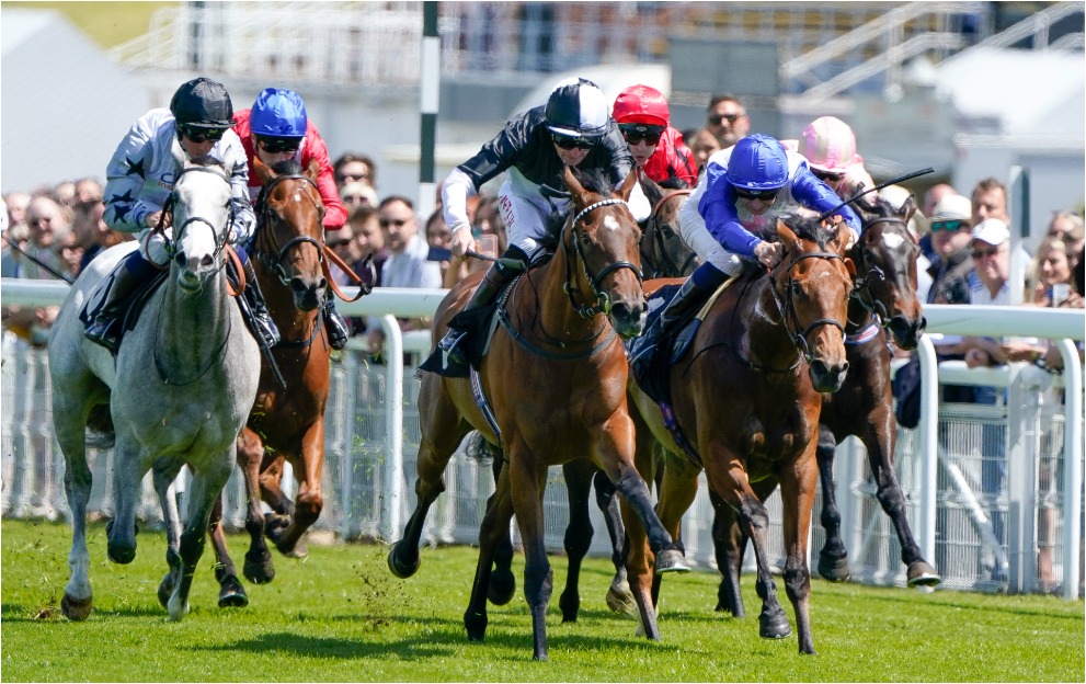 Our 3 Best Bets at Goodwood today
