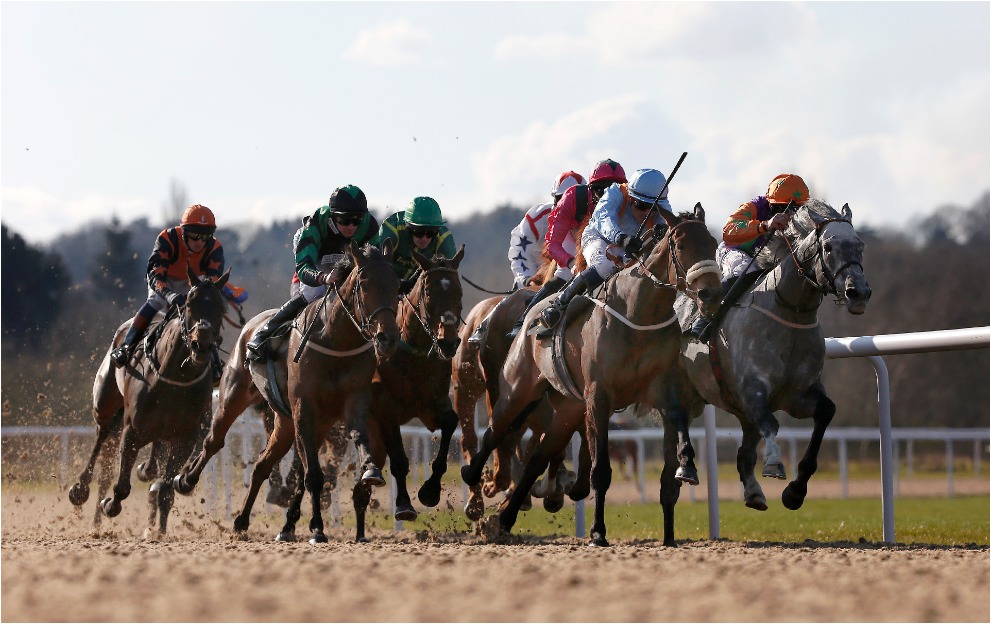 A 9/2 NAP tops our Wolverhampton bets tonight
