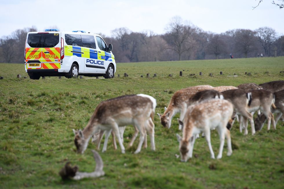 Police patrol Richmond Park, in Richmond upon Thames, southwest London