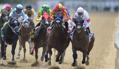 Black-Eyed Susan Stakes 2025 predictions, picks, odds: Best bets by horse-racing expert who hit Breeders' Cup