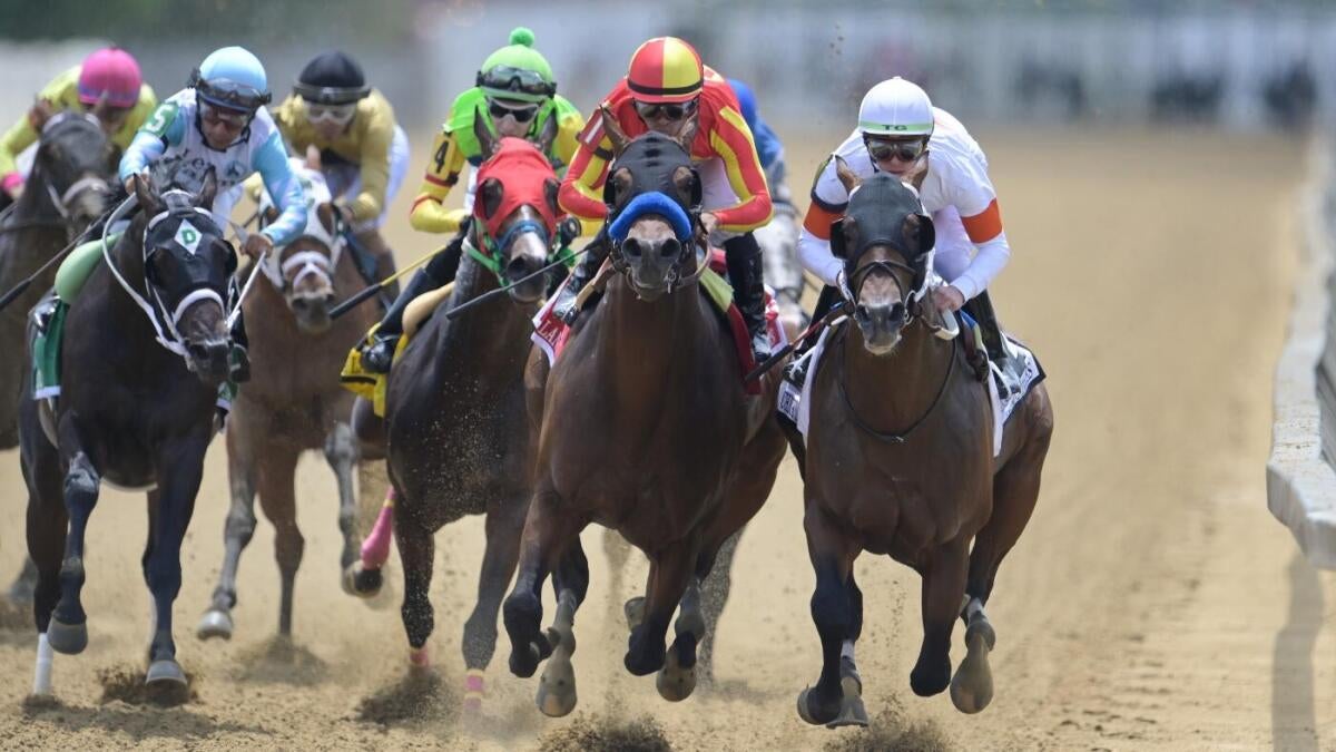 Black-Eyed Susan Stakes 2025 predictions, picks, odds: Best bets by horse-racing expert who hit Breeders' Cup