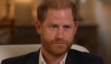 Prince Harry BBC Interview 'Lapse in Usual High Editorial Standards'