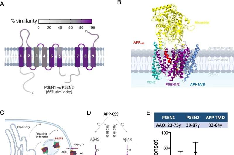 Researchers develop model that predicts onset of Alzheimer's disease