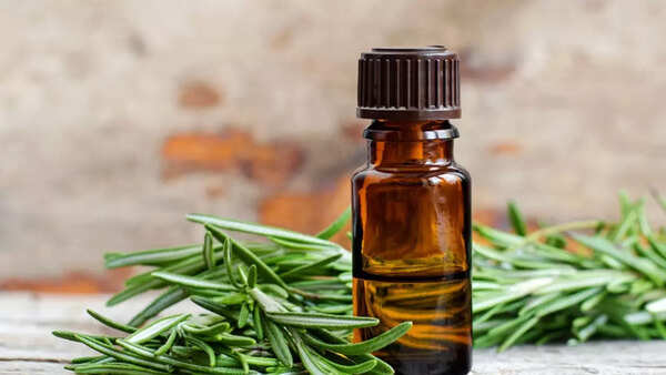 Rosemary (1)