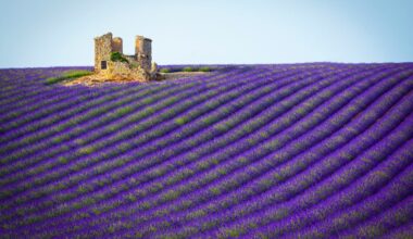 How to dodge the crowds: 5 hidden gems you should visit in the South of France