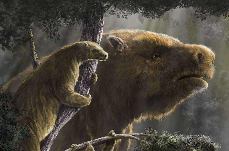 Scientists have figured out how extinct giant ground sloths got so big and where it all went wrong