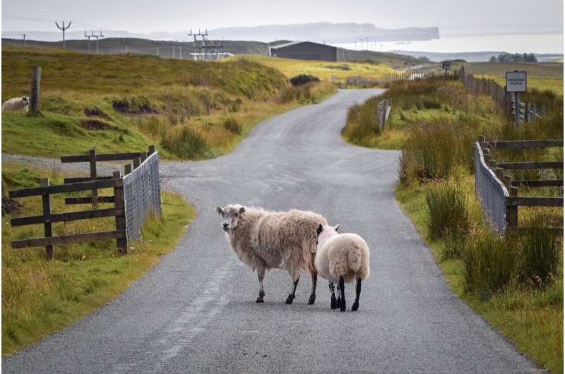 scotland farm