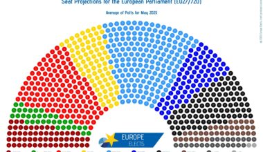 EU Parliamentary Projection: One Year After the Election