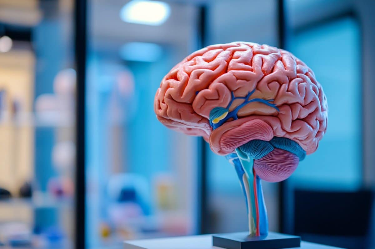 Neuroscience News logo for mobile.