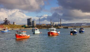 The sandeel is an unlikely barometer of Brexit benefits