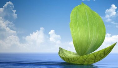 Chinese and EU ports join forces for three green shipping corridors