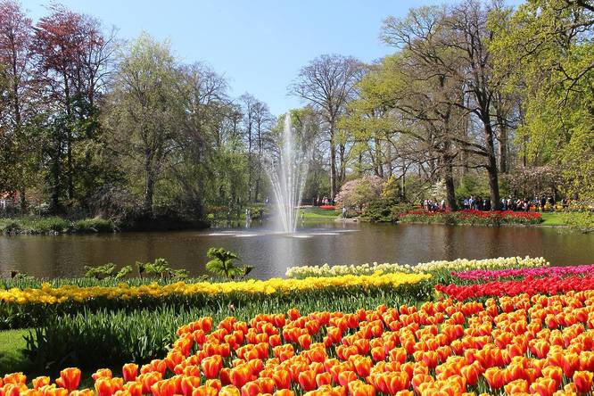 A river with a fountain in the middle at the Amsterdam tulip festival