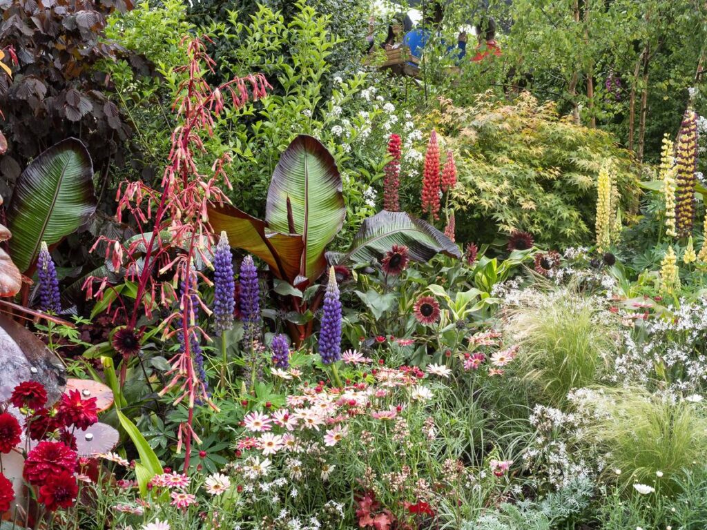 A display of plants and flowers at Chelsea Flower Show