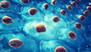 Research identifies seven genes that drive hematopoietic stem cell fate