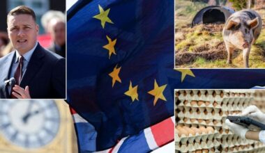 Three food scandals that rocked the EU during Britain’s membership as Keir Starmer embraces alignment in Brexit U-turn