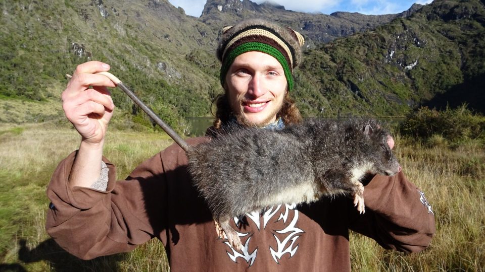 Person holding a large rat in a mountainous area.