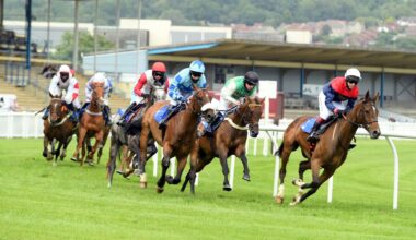 Racing from Newton Abbot