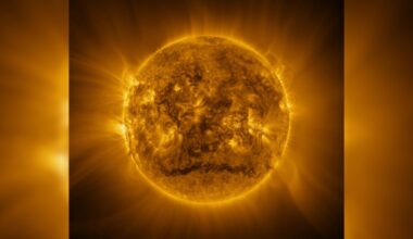 A high-resolution snapshot of the Sun from Solar Orbiter.