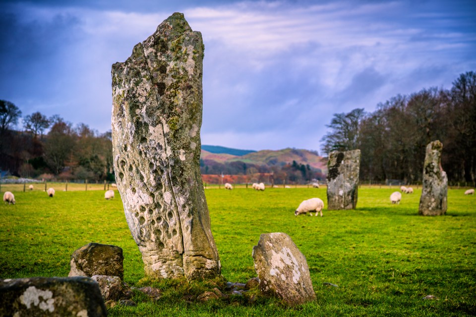 Standing stones with cup-and-ring markings, sheep grazing in the background.
