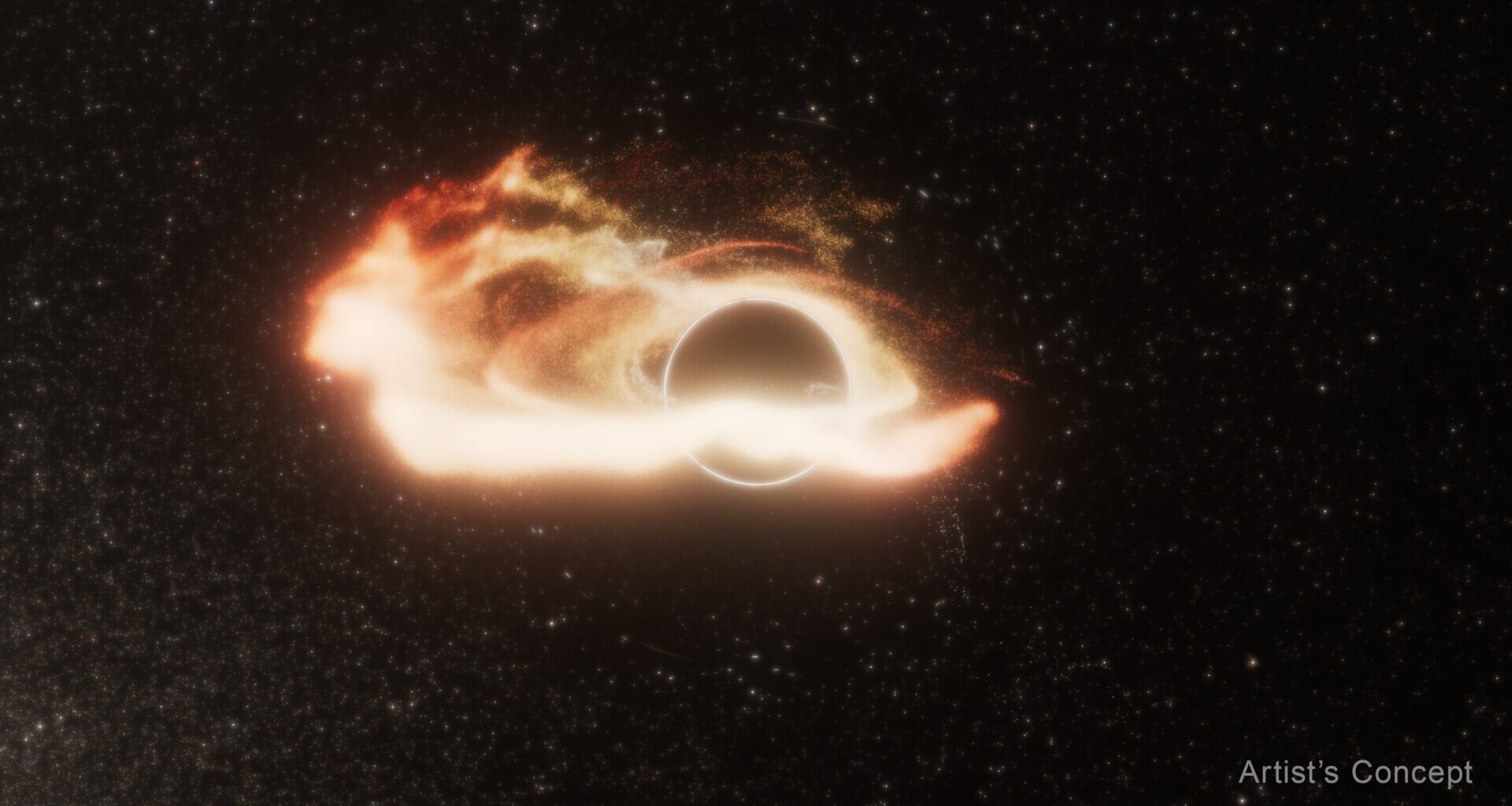 An artist's concept of a star's remnants forming a disk around a black hole.