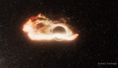 An artist's concept of a star's remnants forming a disk around a black hole.