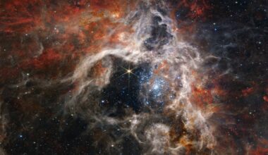 Webb Telescope's view of the Tarantula Nebula.