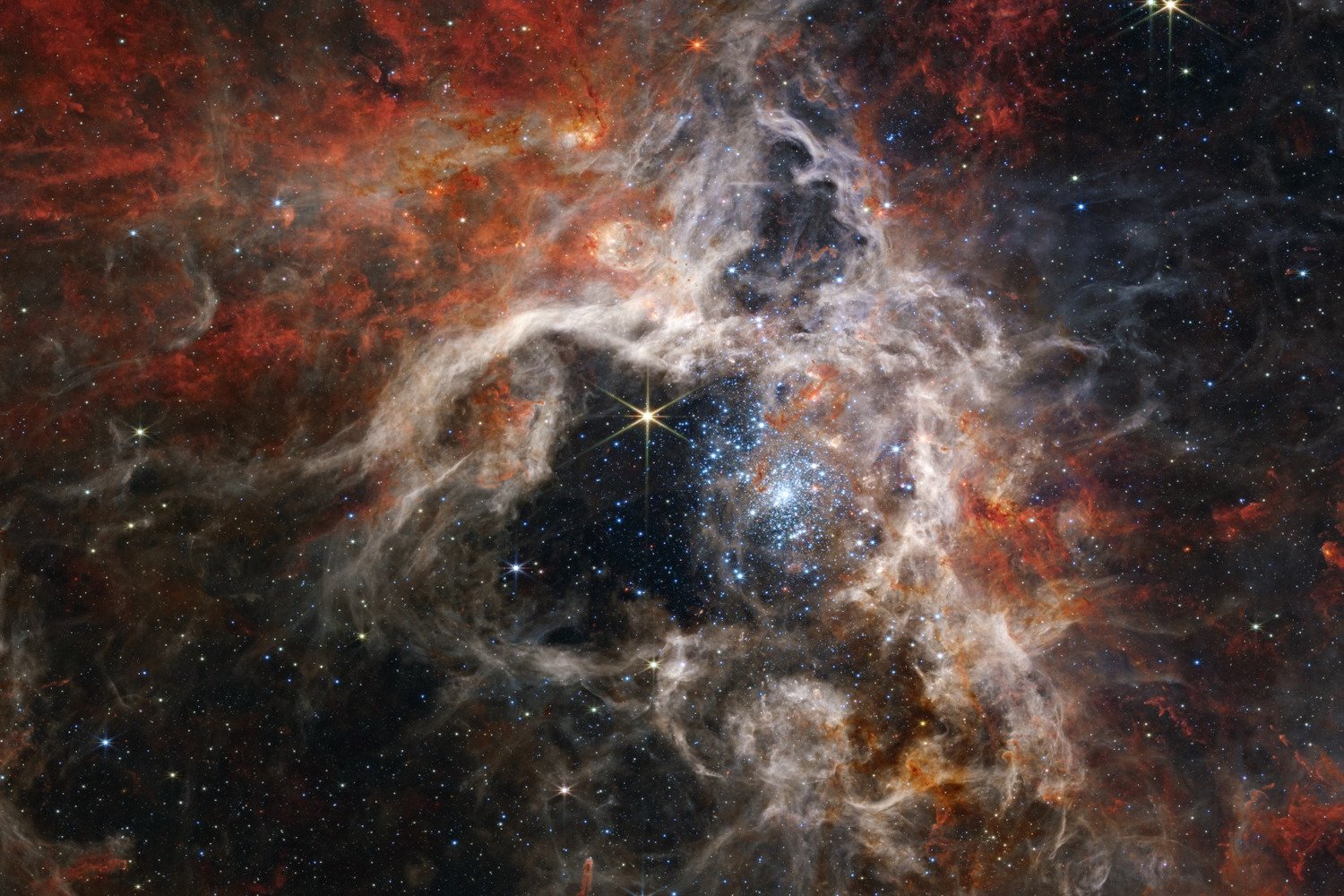 Webb Telescope's view of the Tarantula Nebula.