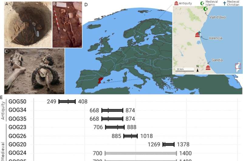 Study of ancient DNA reveals ethnic cleansing impact on genetic landscape of Spain