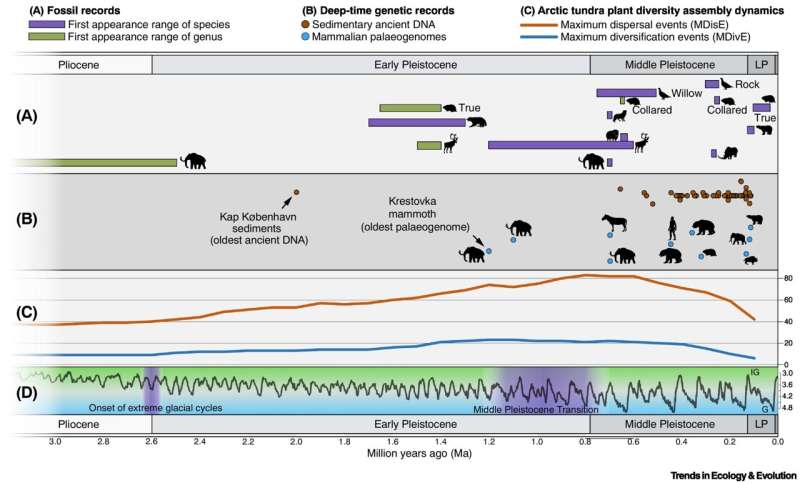 Study reveals different phases of evolution during ice age