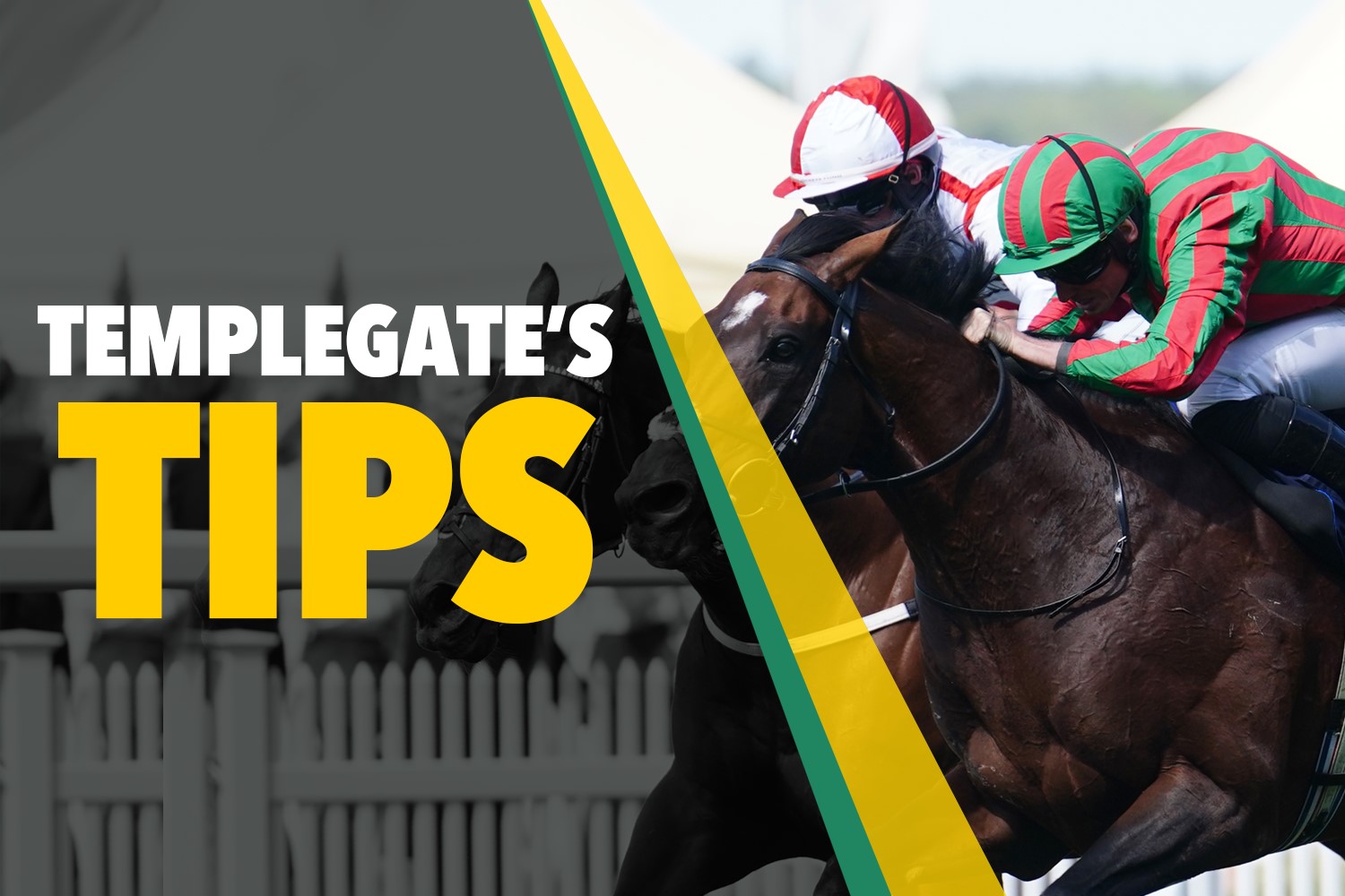 Horse racing tips: 'He enjoys decent ground' - Templegate's NAP goes over the jumps at Plumpton