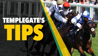 Horse racing tips: 'Will enjoy this stiffer test of stamina' - Templegate's big NAP has a huge chance at Windsor