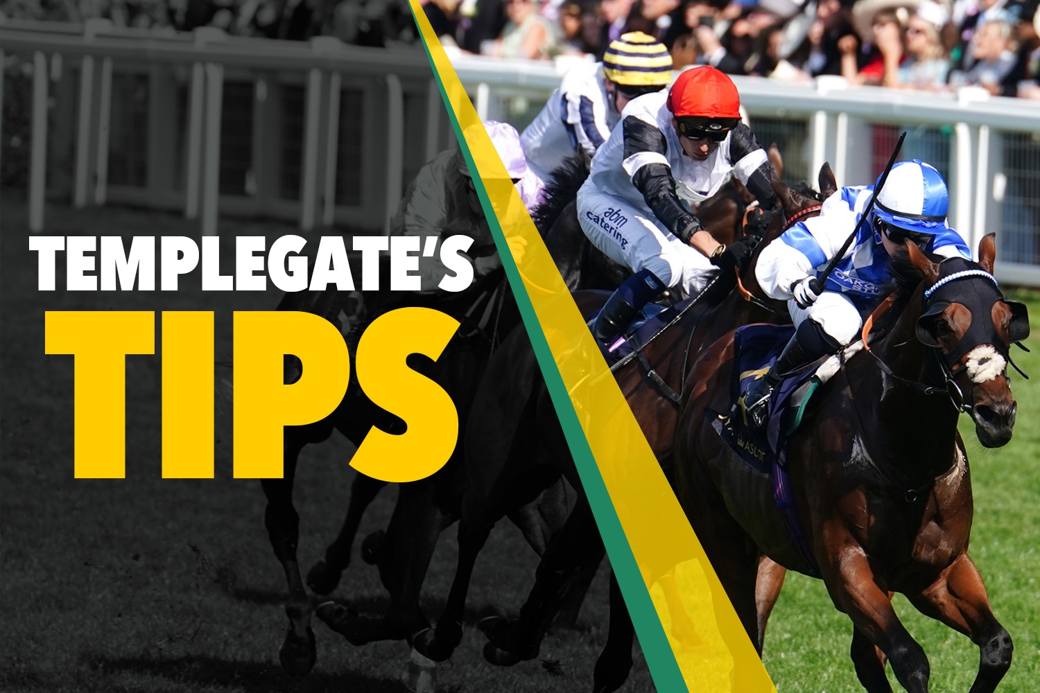 Horse racing tips: 'Will enjoy this stiffer test of stamina' - Templegate's big NAP has a huge chance at Windsor