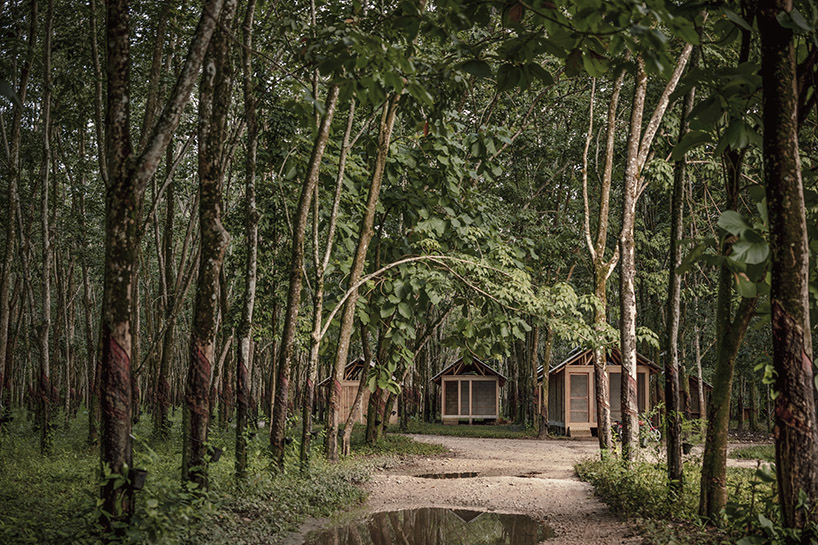 manuel cervantes estudio embeds temporary housing units among rubber trees in mexico