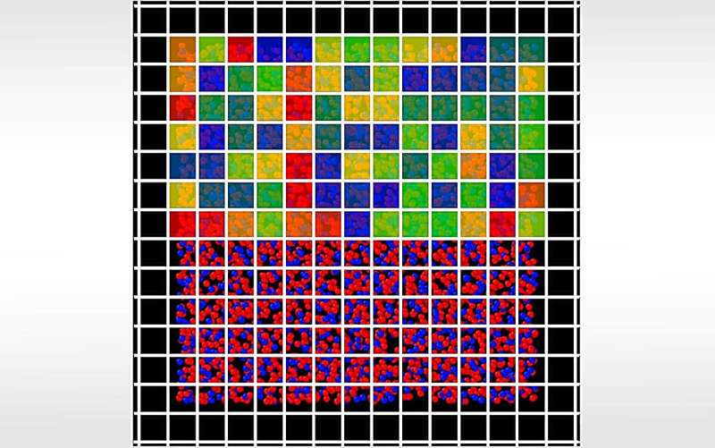 The invisible order sets the fluctuation in the terahertz region of glass
