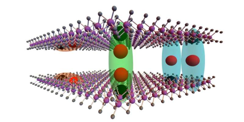 The observation of quadrupolar and dipolar excitons in 2H stacked bilayer molybdenum diselenide