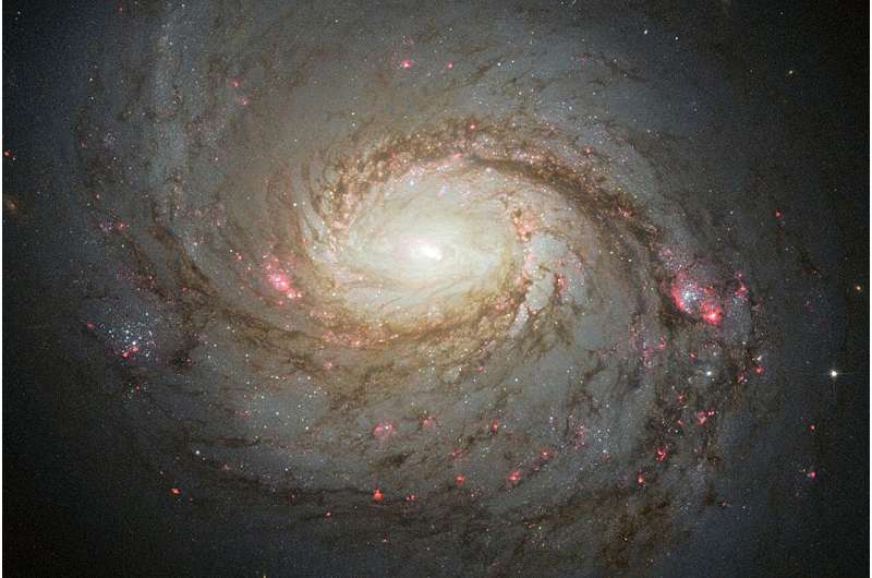 The Squid Galaxy's neutrino game just leveled up
