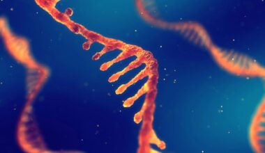 RNA Therapeutics Industry: Innovation at the Genetic Frontier