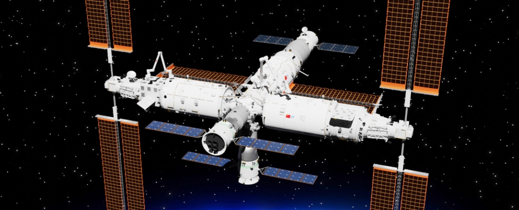Unknown Species of Bacteria Discovered in China's Space Station : ScienceAlert