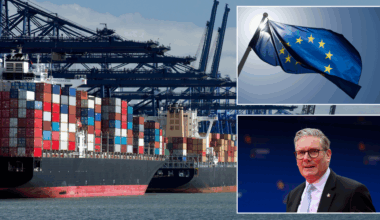 Britain's ports demand £120m to compensate money WASTED on 'obsolete' Brexit border posts